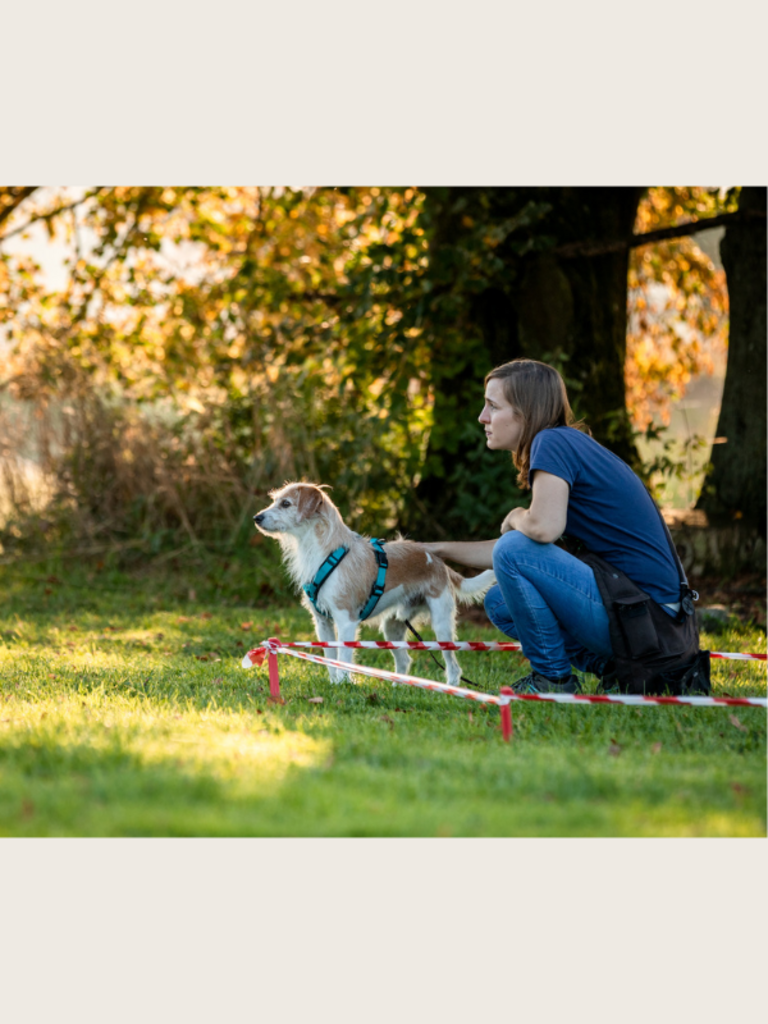 Bedürfnisorientiertes Training