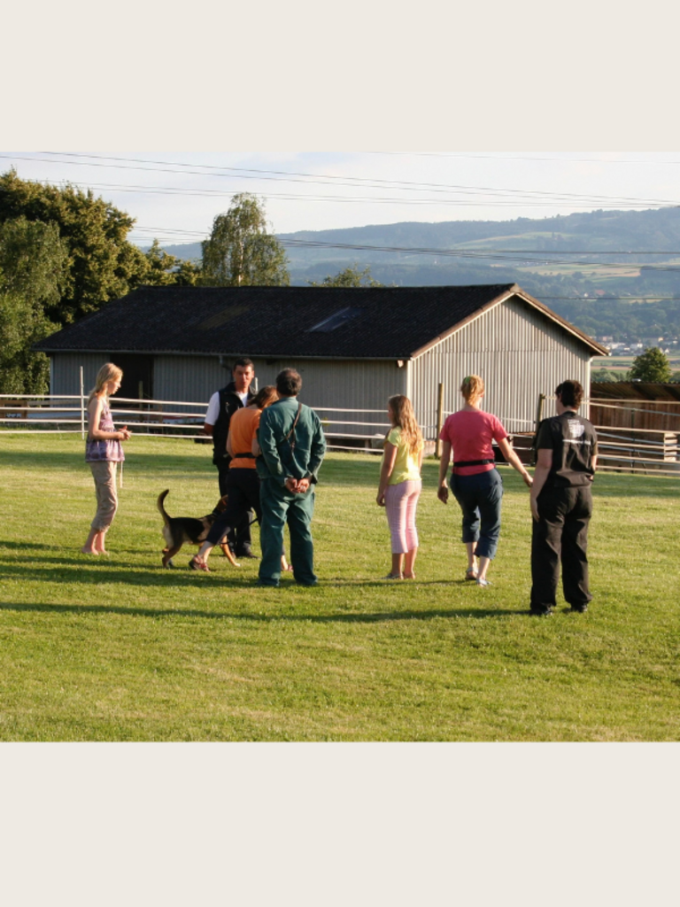 How the fairtrain dog school came about